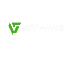 Velwins